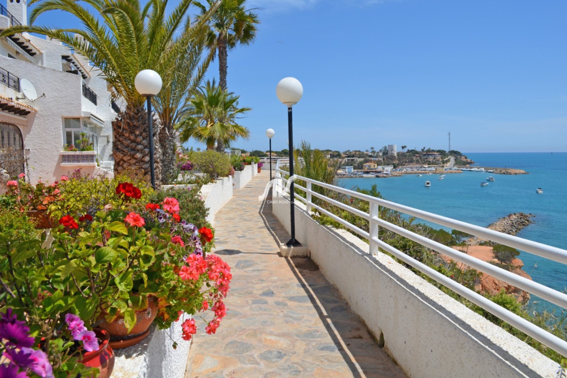 Bellavista I primera línea de Cabo Roig