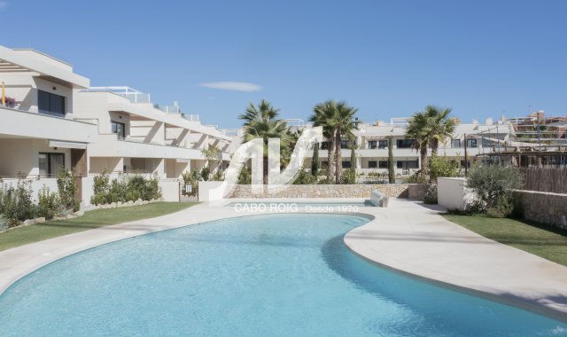 Bungalow - Nuevo - Torrevieja - Torrevieja