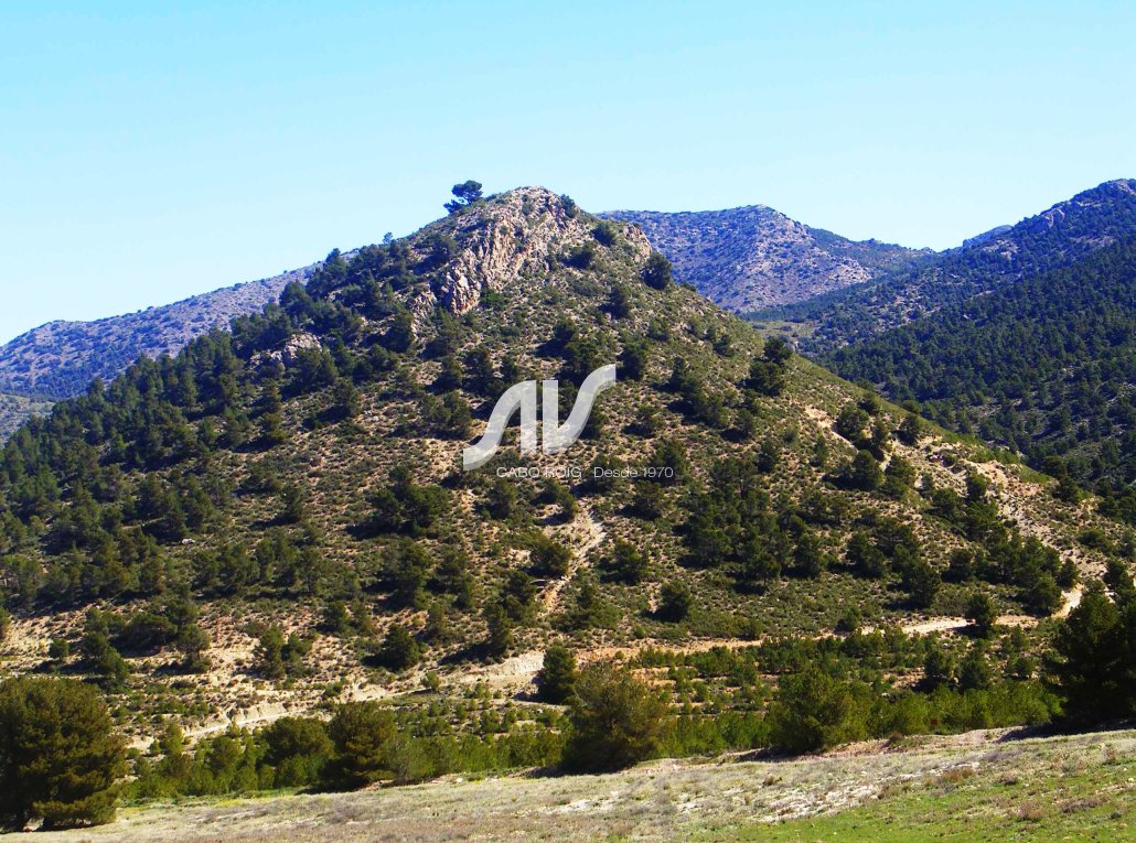 Finca de montaña, caza y recreo en venta en Murcia 
