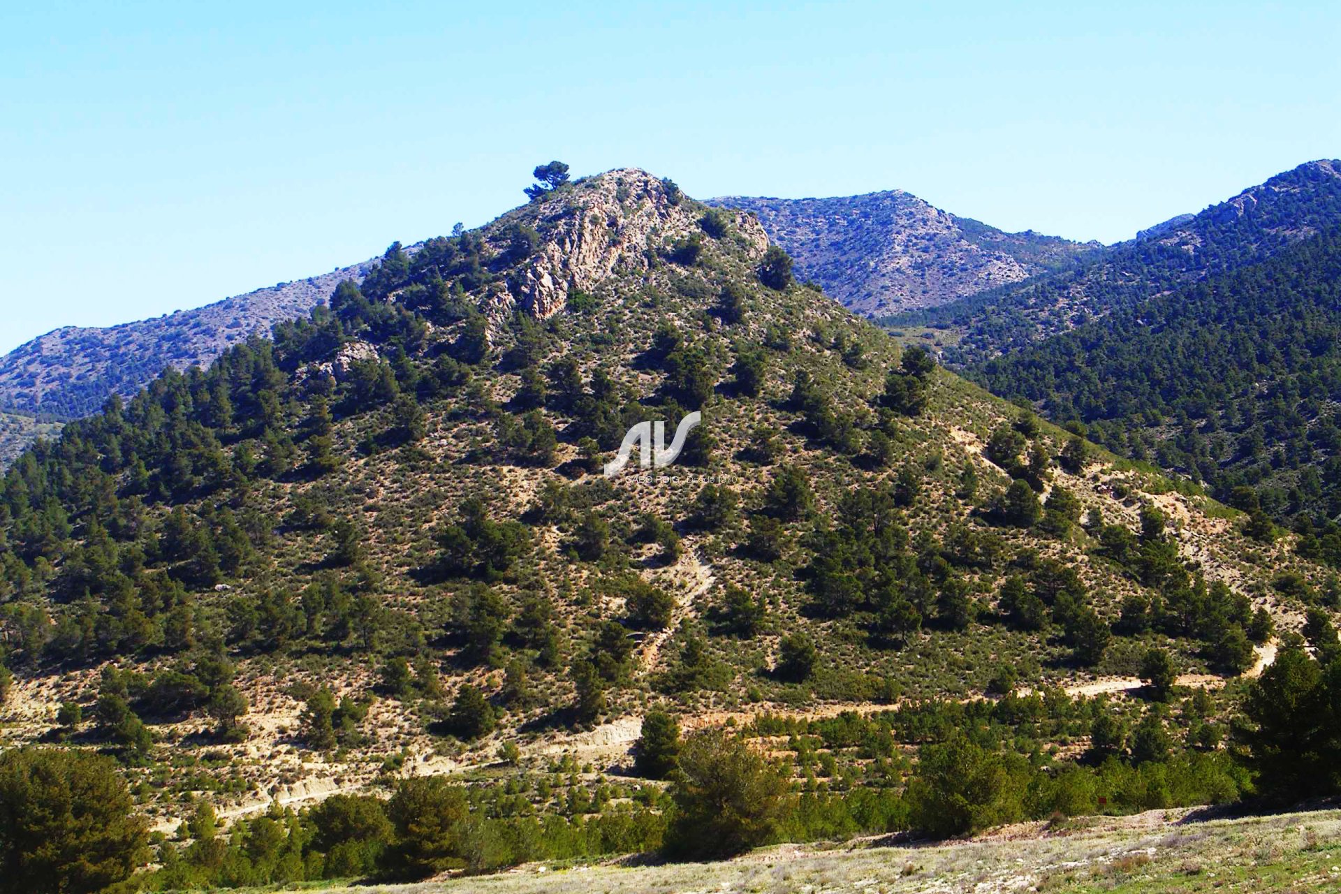Finca de montaña, caza y recreo en venta en Murcia 