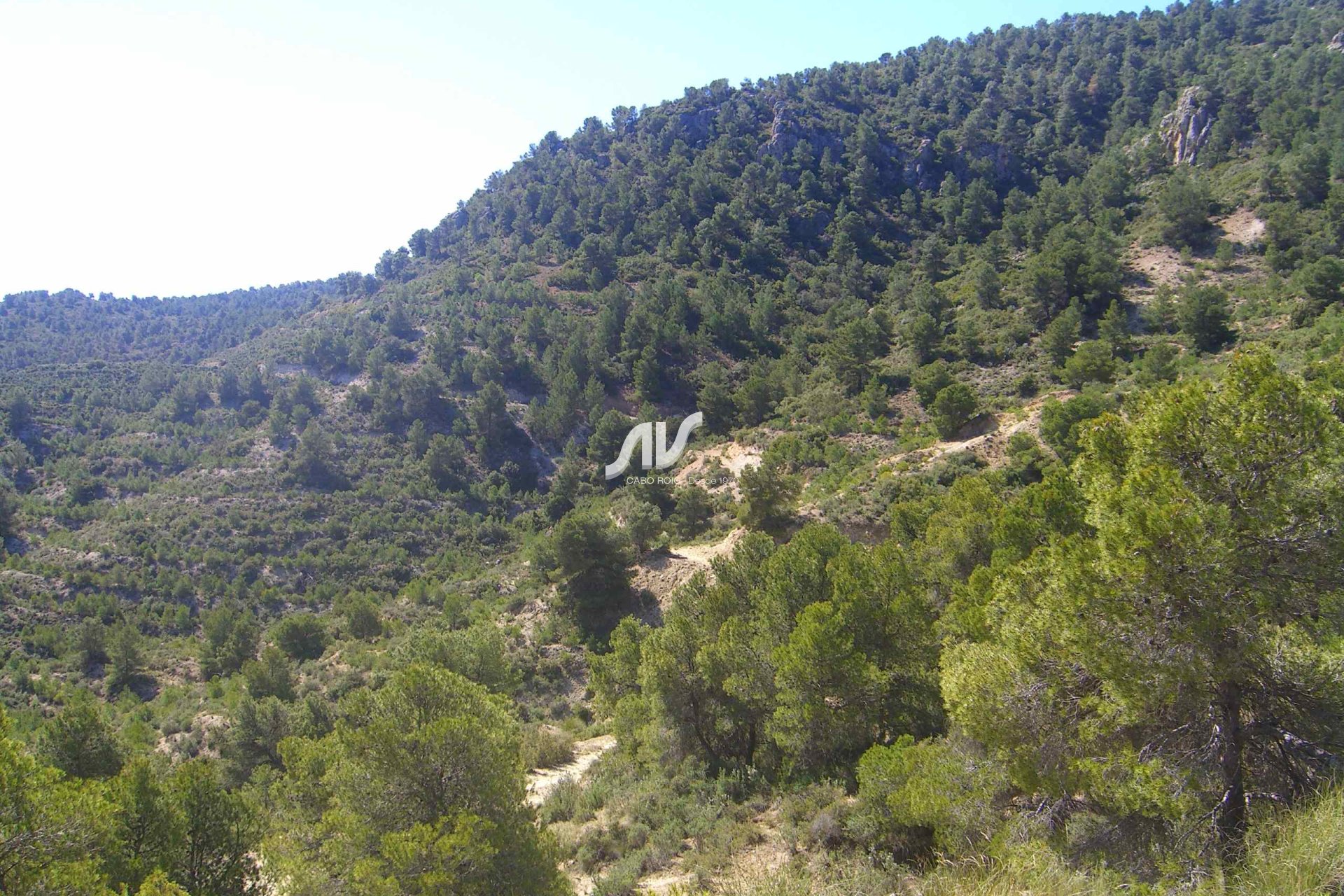 Finca de montaña en Murcia