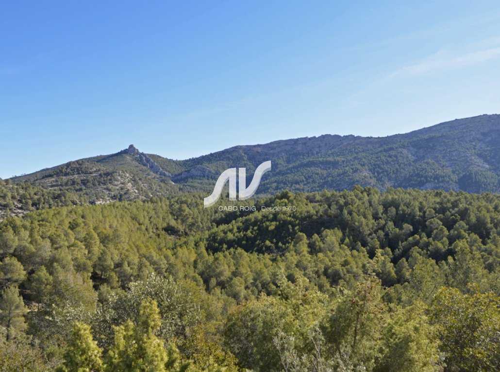 Finca de naturaleza caza recreo y cultivo en Sierra Espuña Mula Murcia 
