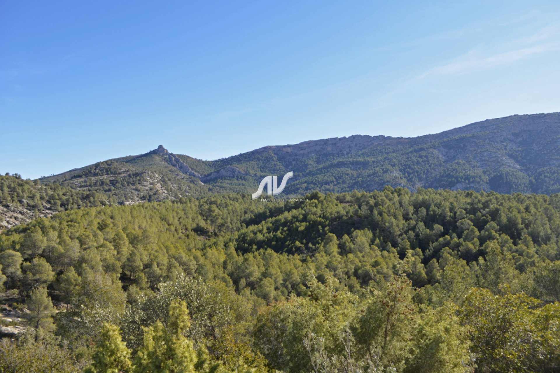 Finca de naturaleza caza recreo y cultivo en Sierra Espuña Mula Murcia 