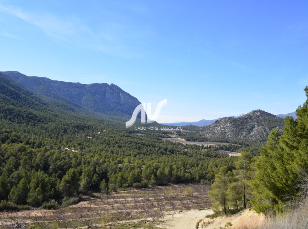 Finca de naturaleza caza recreo y cultivo en Sierra Espuña Mula Murcia 