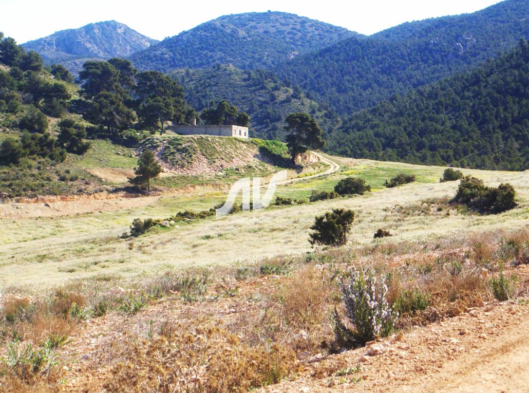 Finca en venta cerca de Sierra Espuña Murcia