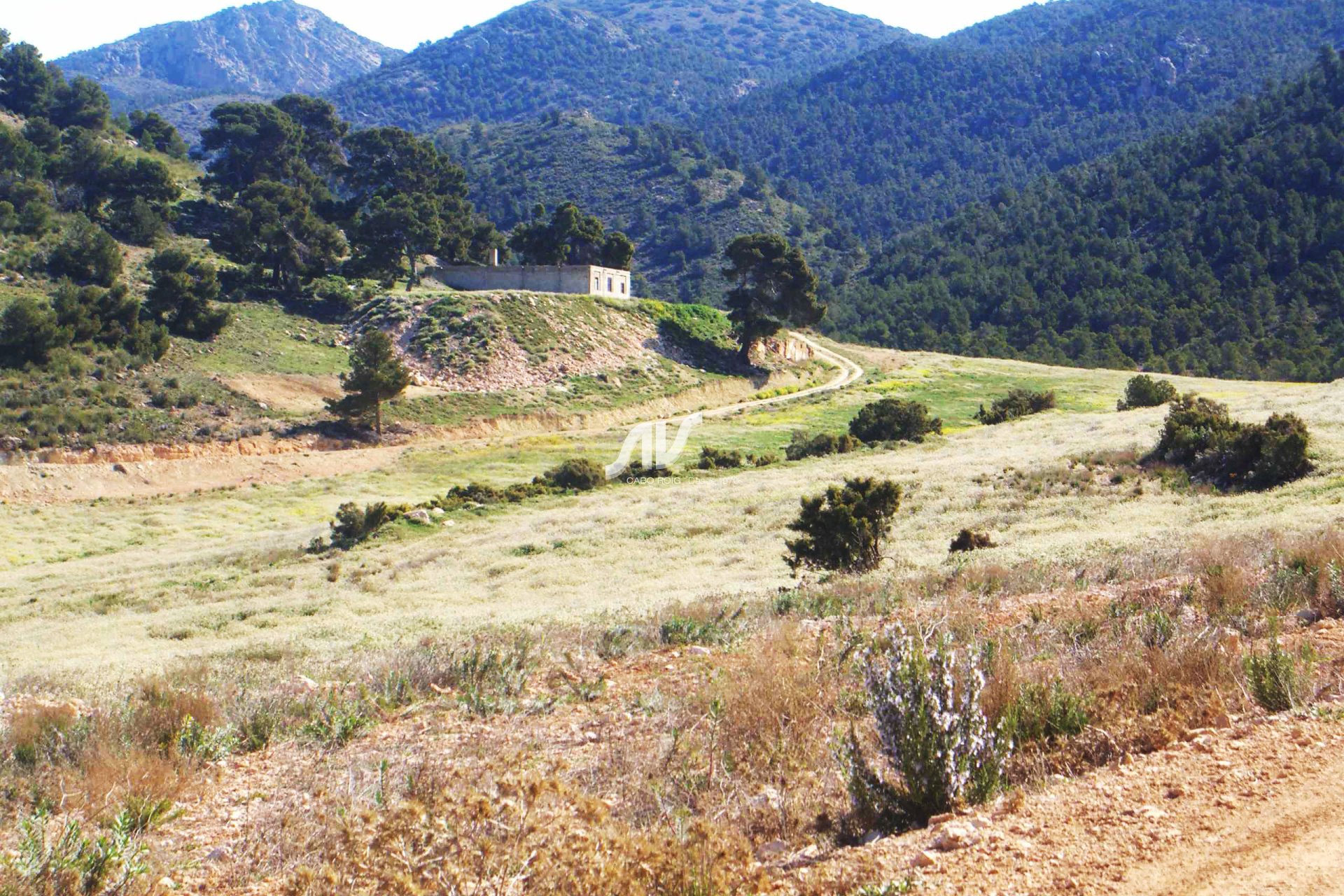 Finca en venta cerca de Sierra Espuña Murcia