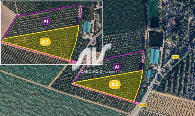 Finca - Resale - Los Montesinos - Los Montesinos