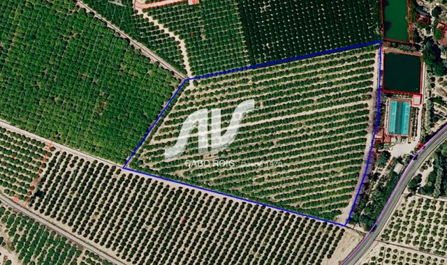 Finca - Til Salgs - Los Montesinos - Los Montesinos