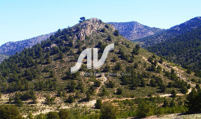 Finca - Weiterverkauf - Lorca - La Paca - Zarzadilla