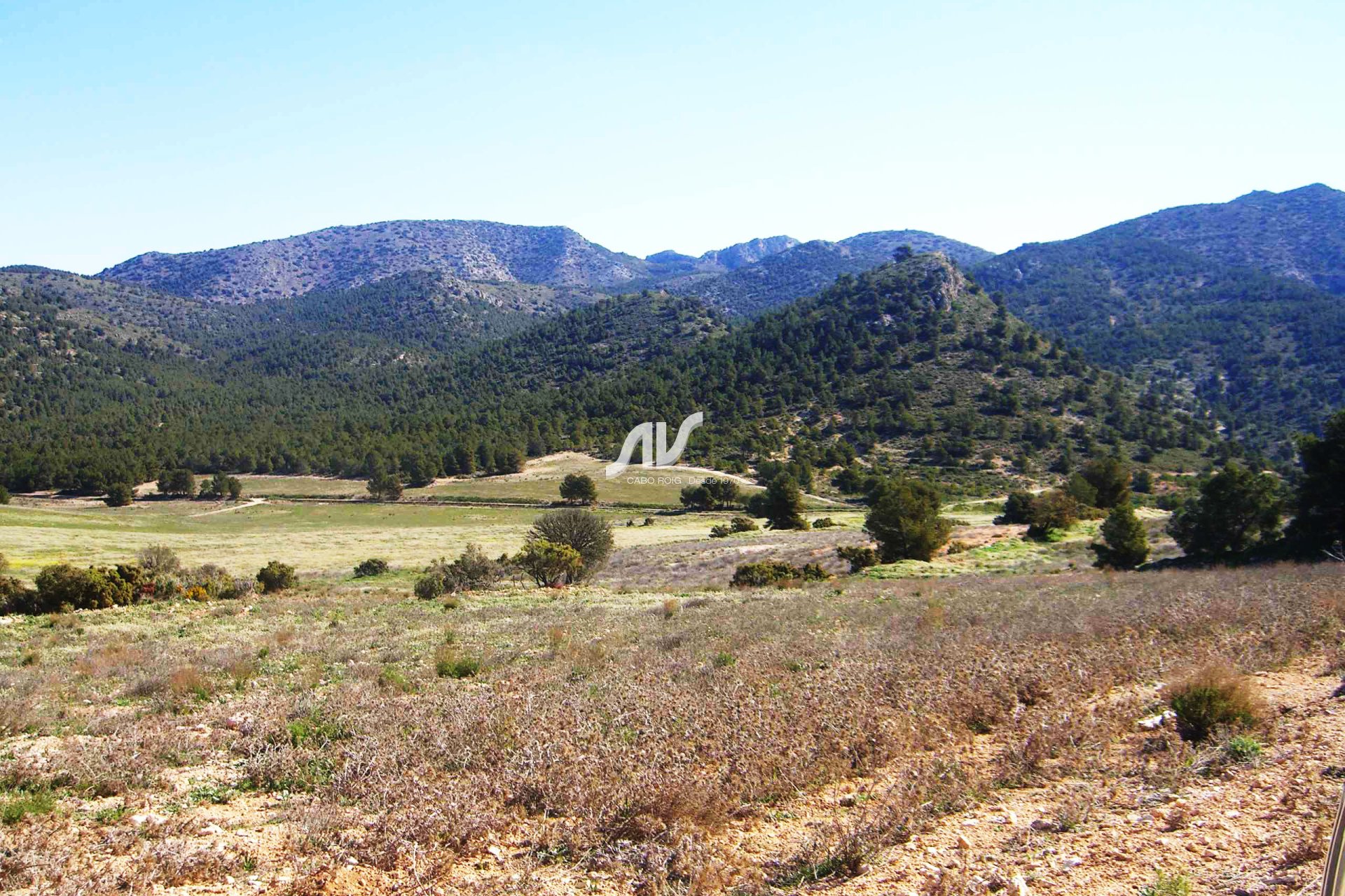 Gran finca en venta en Murcia La Paca Lorca