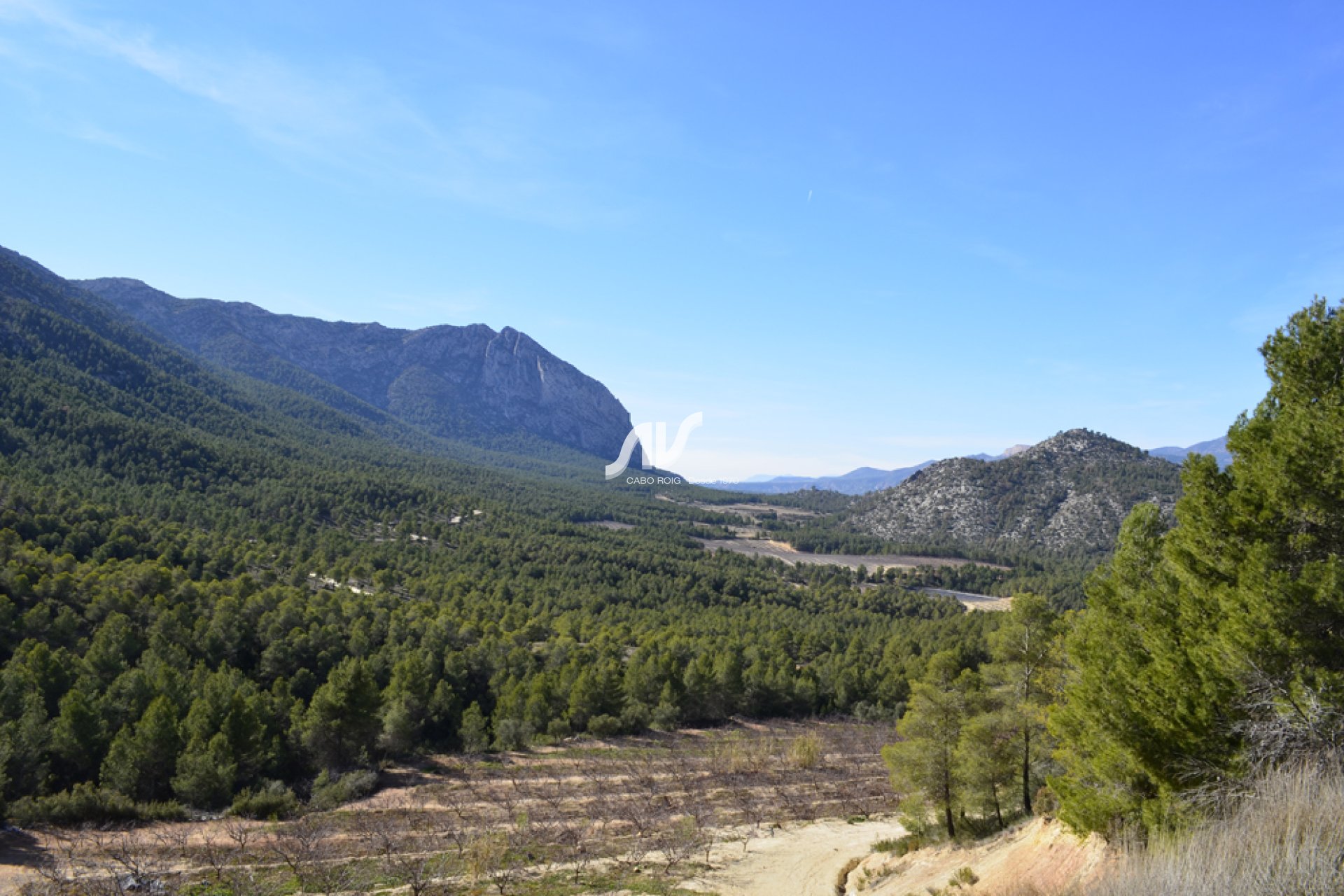 mountains valley with pure water spring