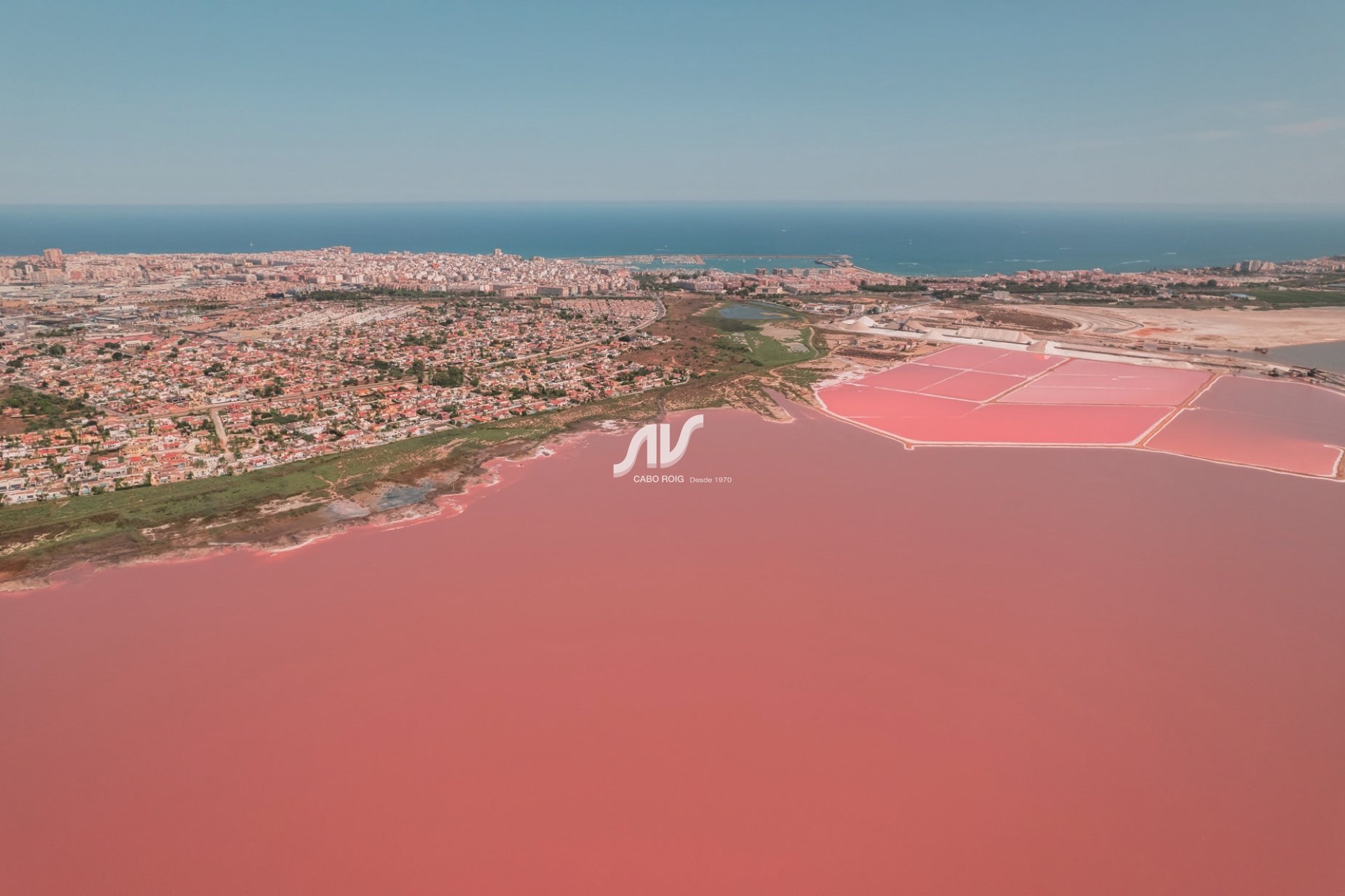 Neubau - Bungalow - Torrevieja