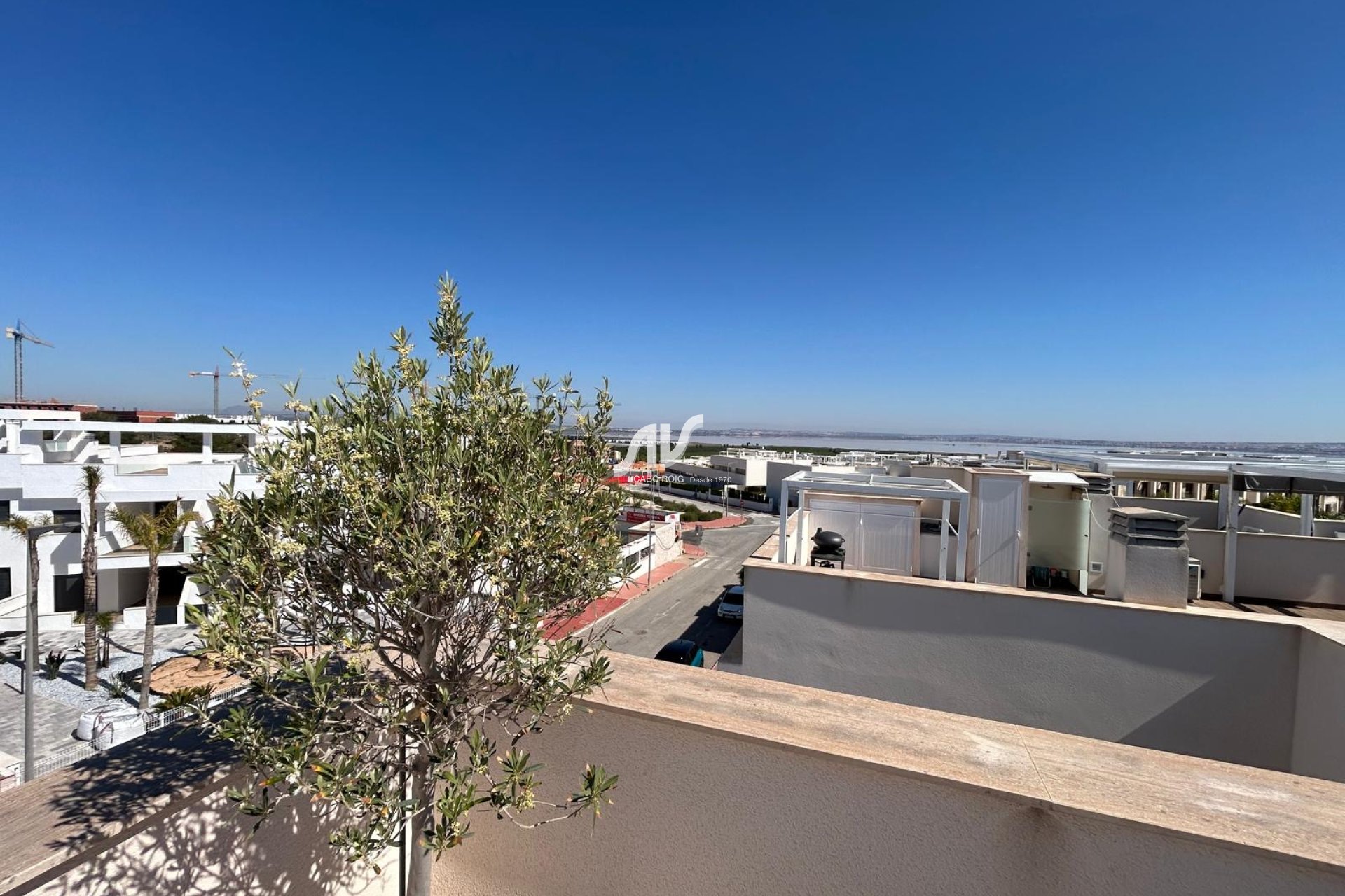 Neubau - Bungalow - Torrevieja