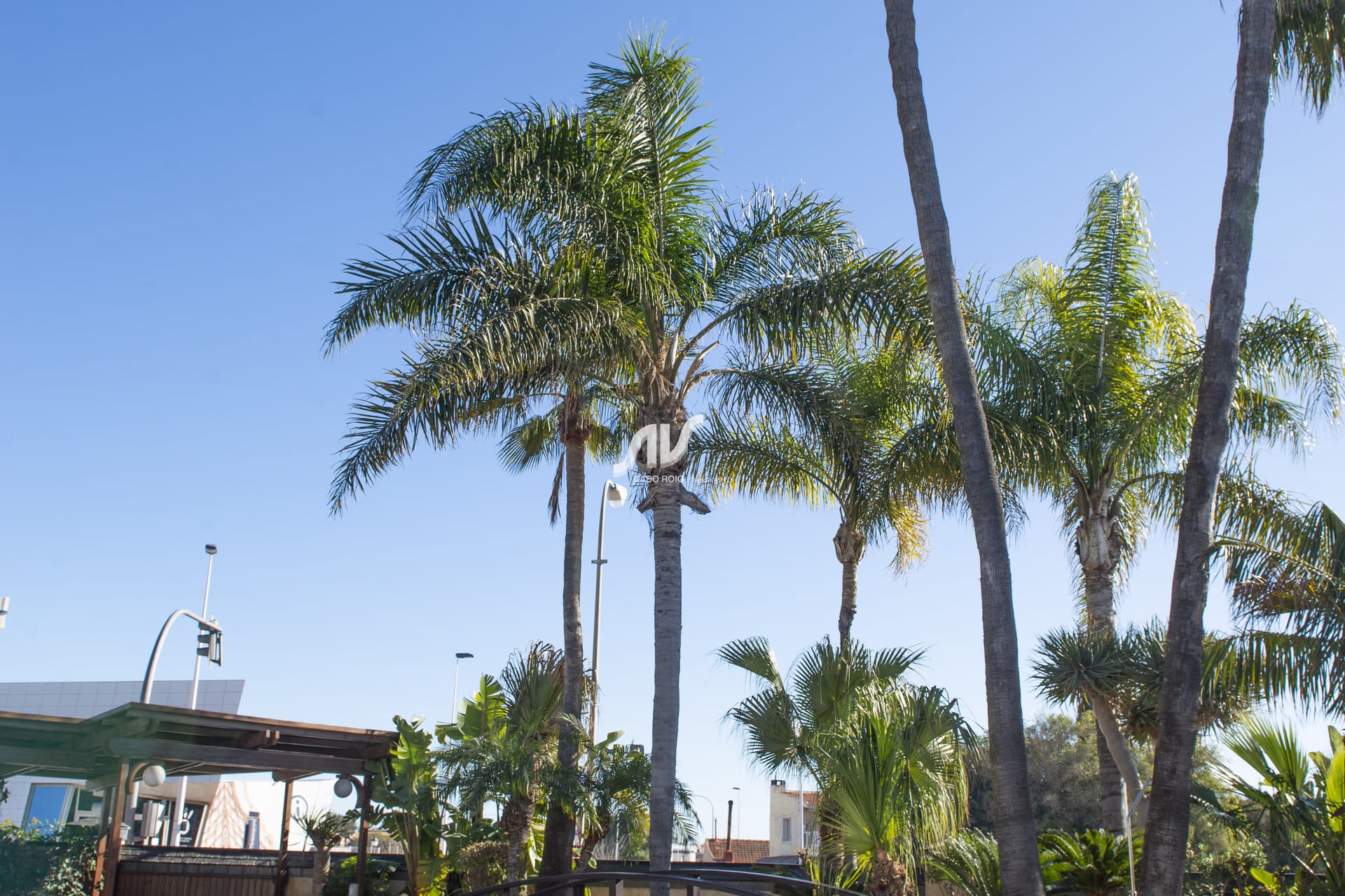 Neubau - Villa - San Pedro del Pinatar