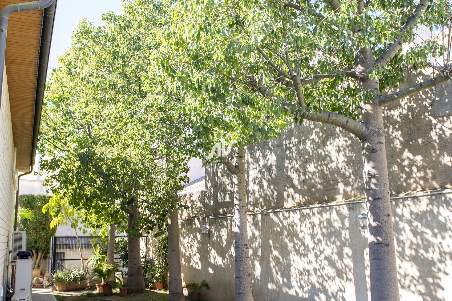 Neubau - Villa - San Pedro del Pinatar