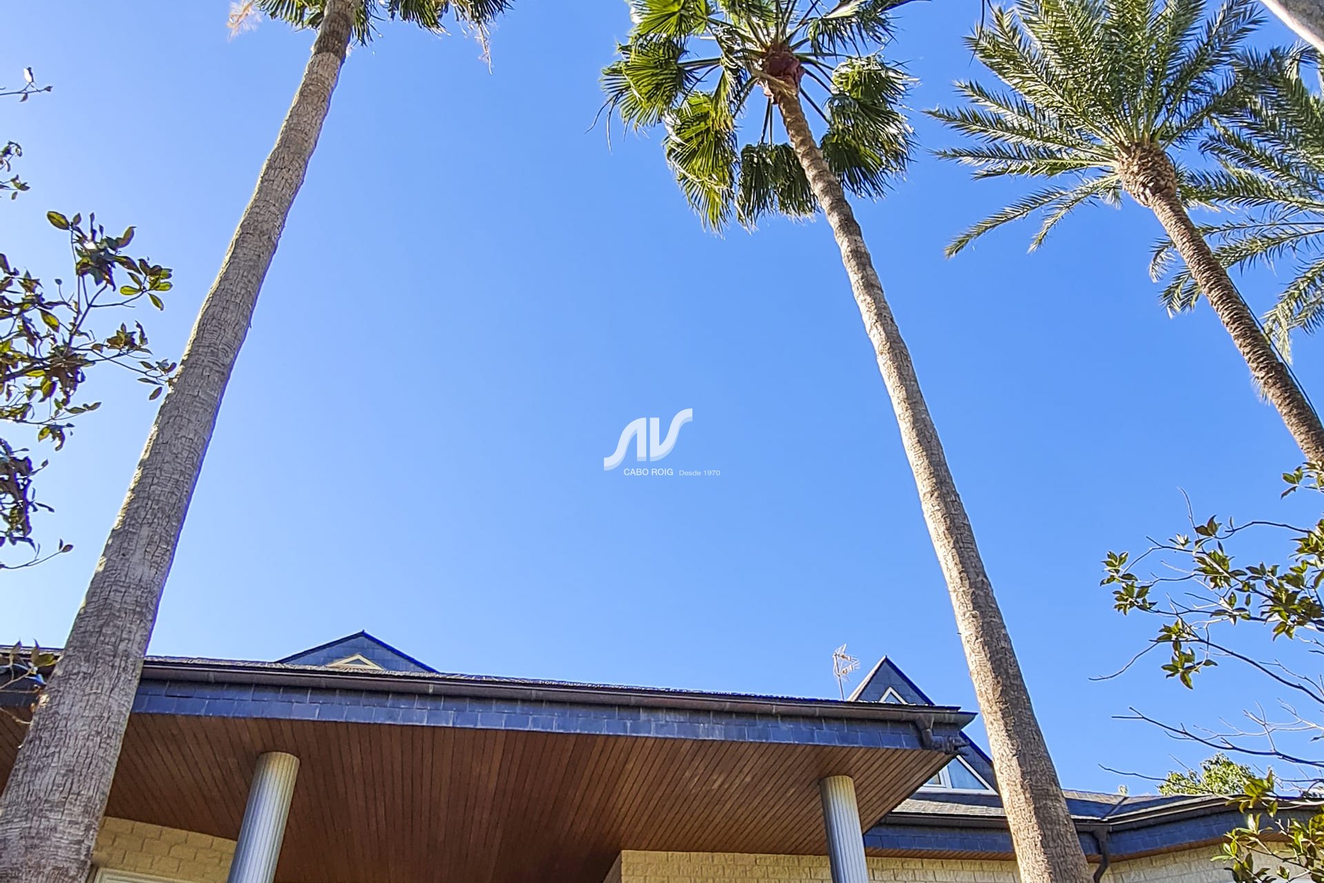 Neubau - Villa - San Pedro del Pinatar