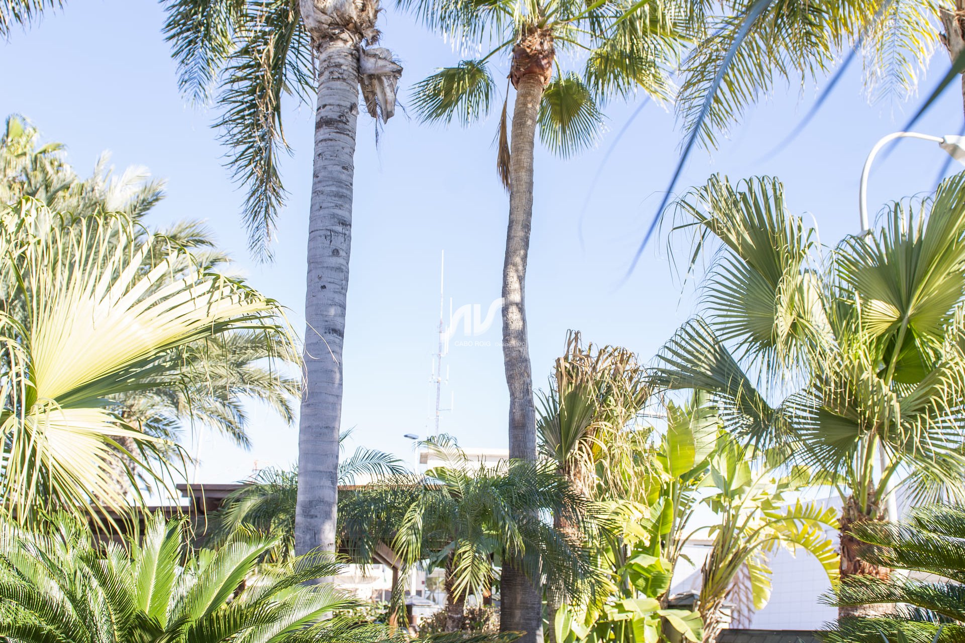 Neubau - Villa - San Pedro del Pinatar