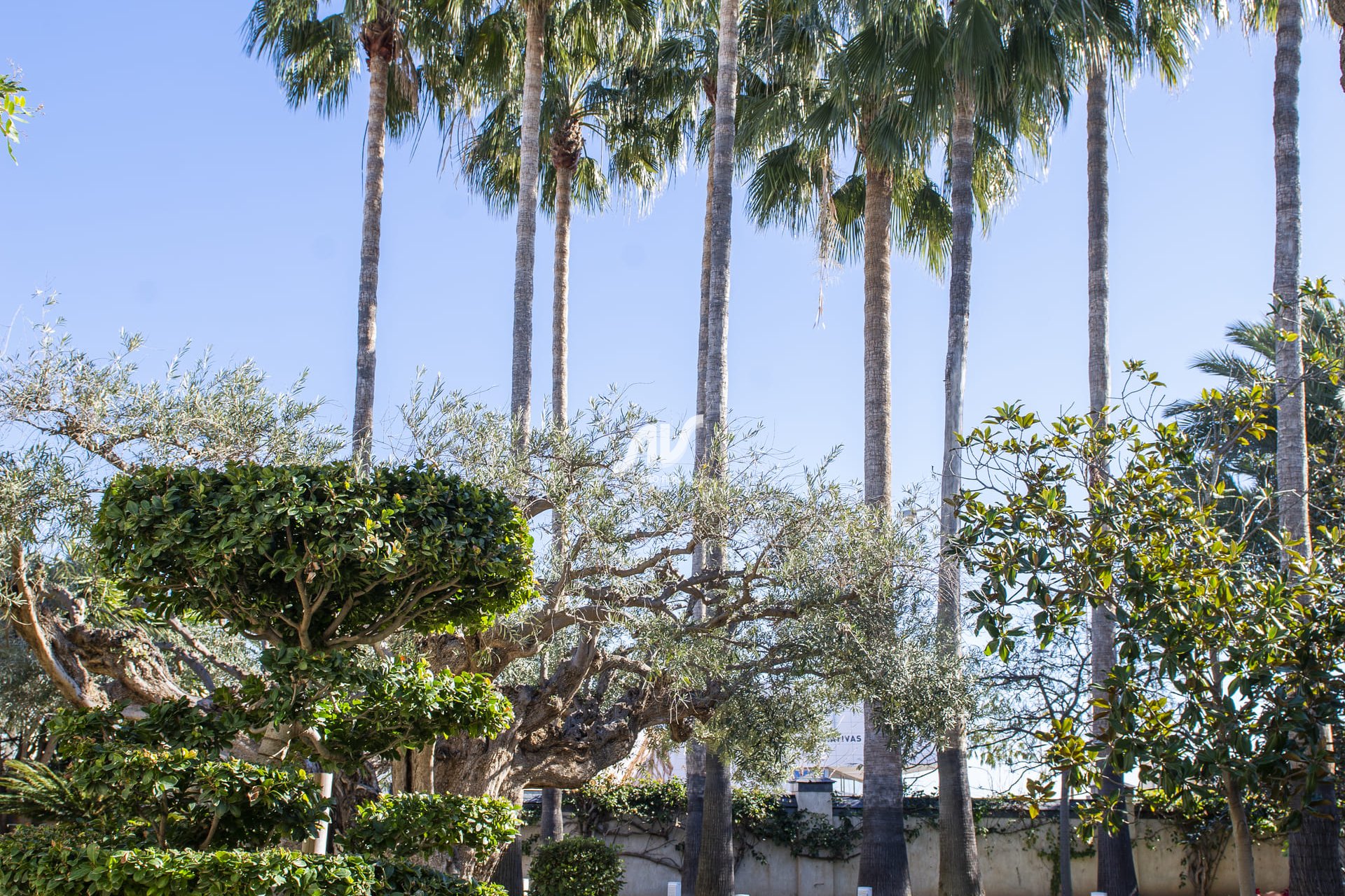 Neubau - Villa - San Pedro del Pinatar