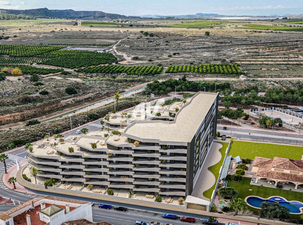 Neubau - Wohnung - San Miguel de Salinas