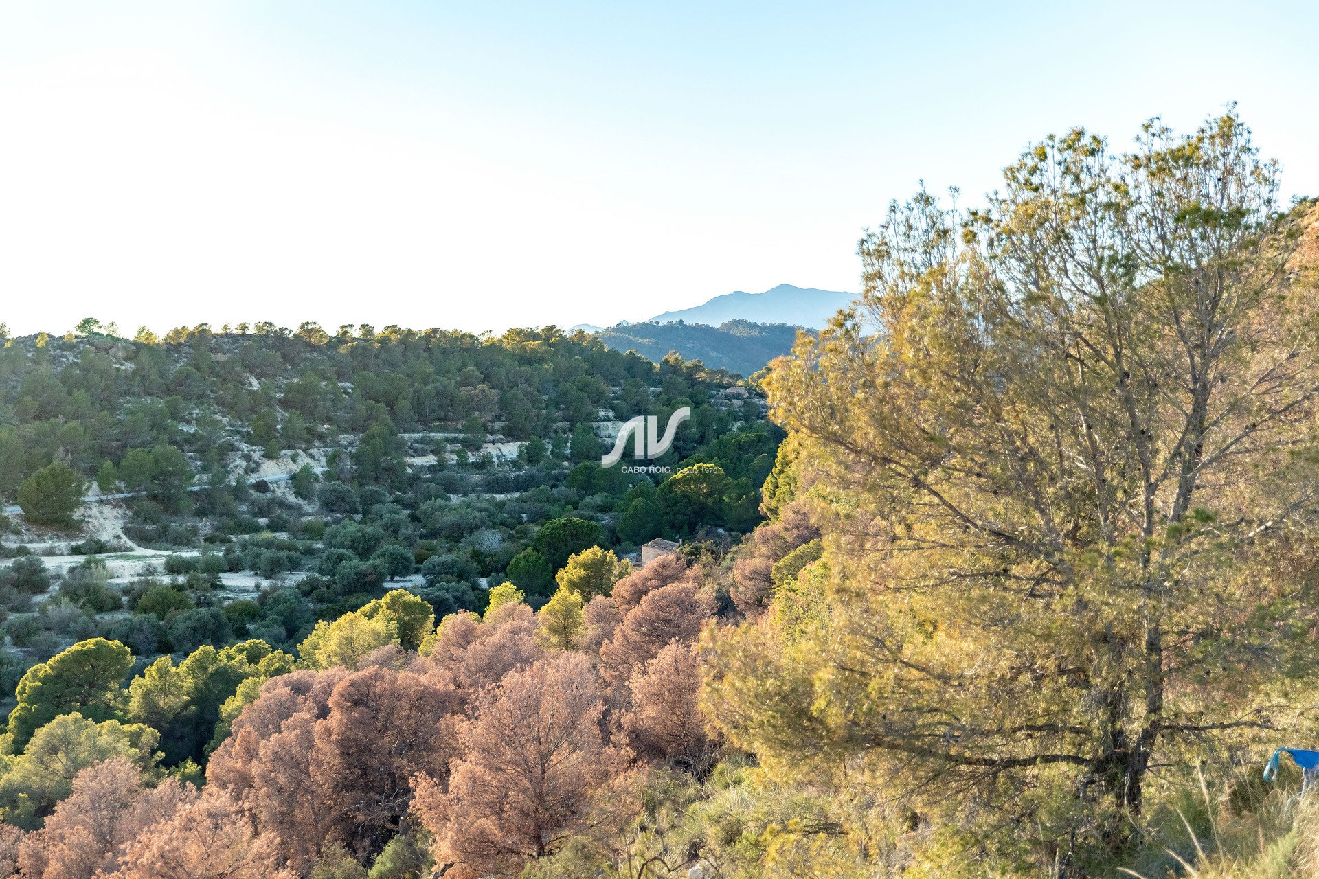 Nowa budowa - Mieszkanie - Finestrat