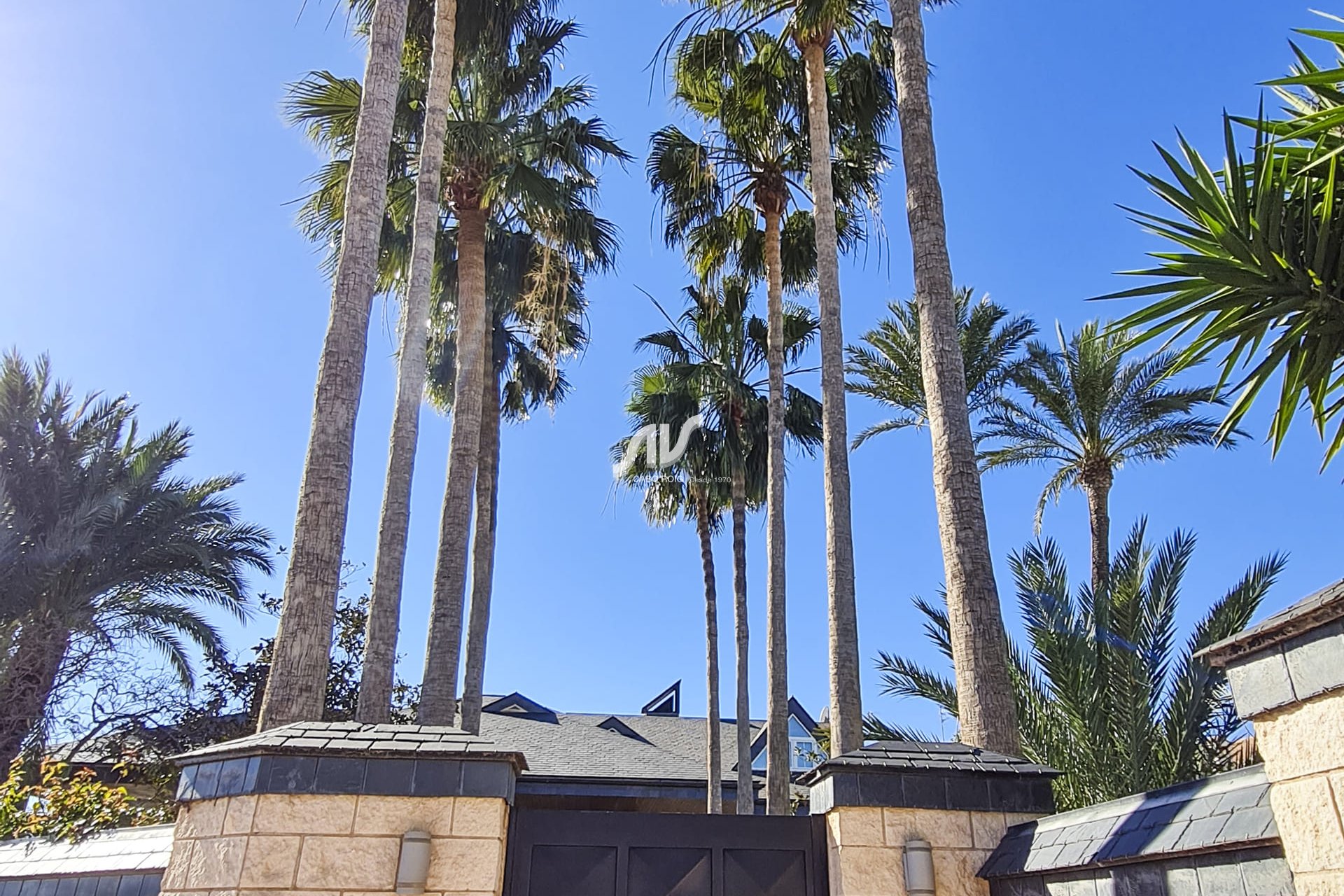 Nowa budowa - Villa - San Pedro del Pinatar