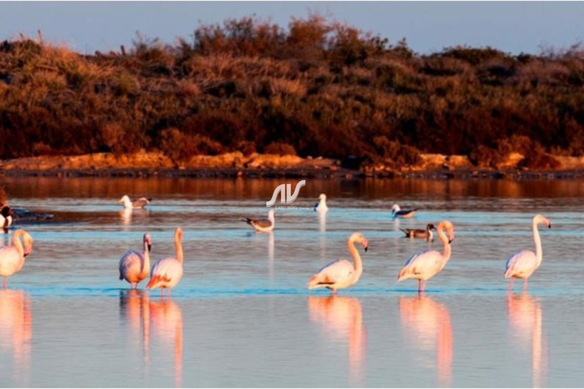 Nowa budowa - Willa bliźniacza - San Pedro del Pinatar