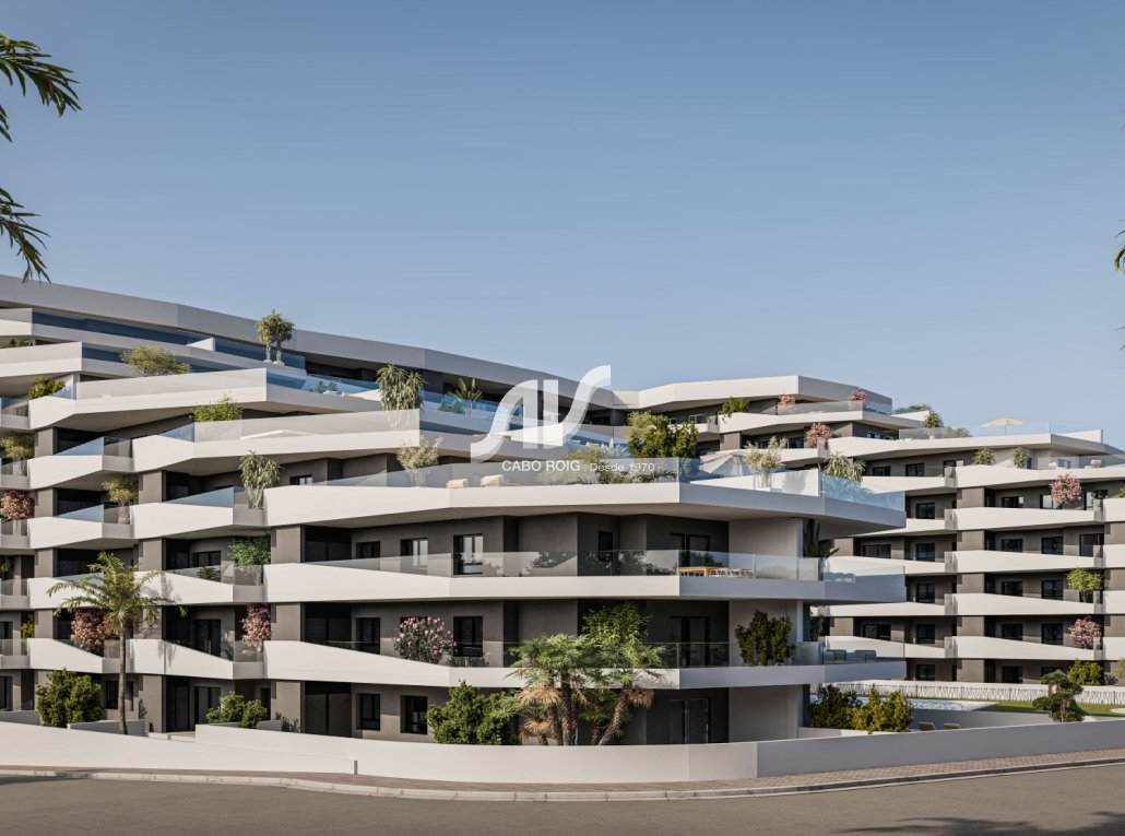 Nuevo - Apartamento - San Miguel de Salinas