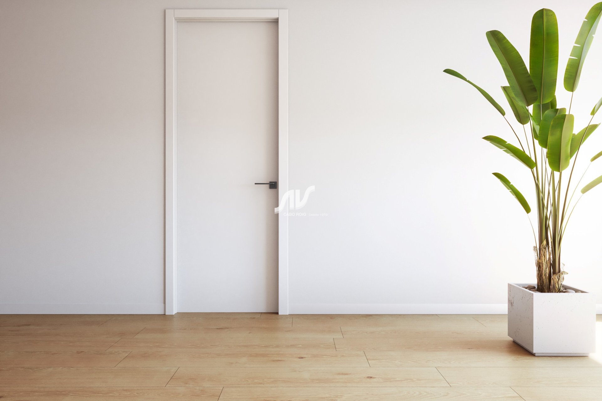 Nuevo - Apartamento - Torrevieja