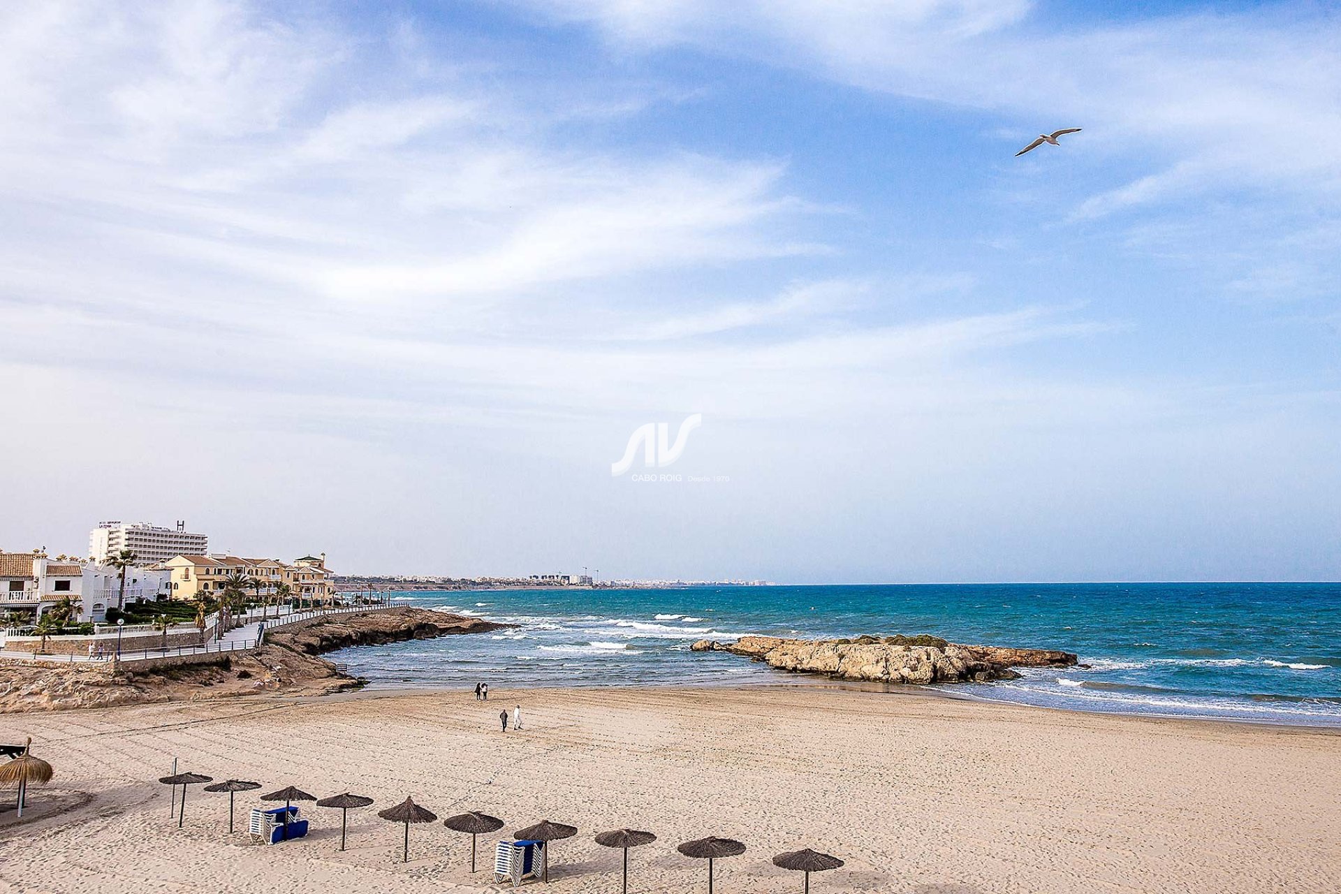 Nuevo - Chalet adosado - Orihuela Costa