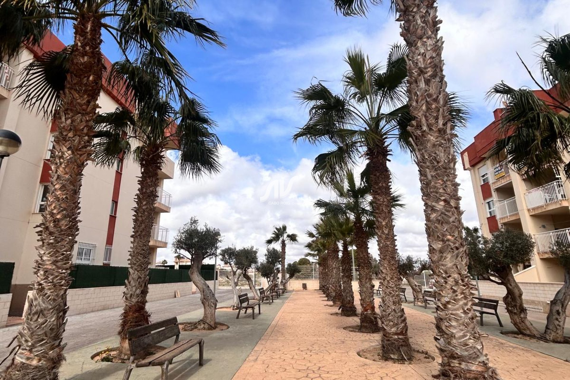 Nybygg - Bungalow - Orihuela Costa - Orihuela