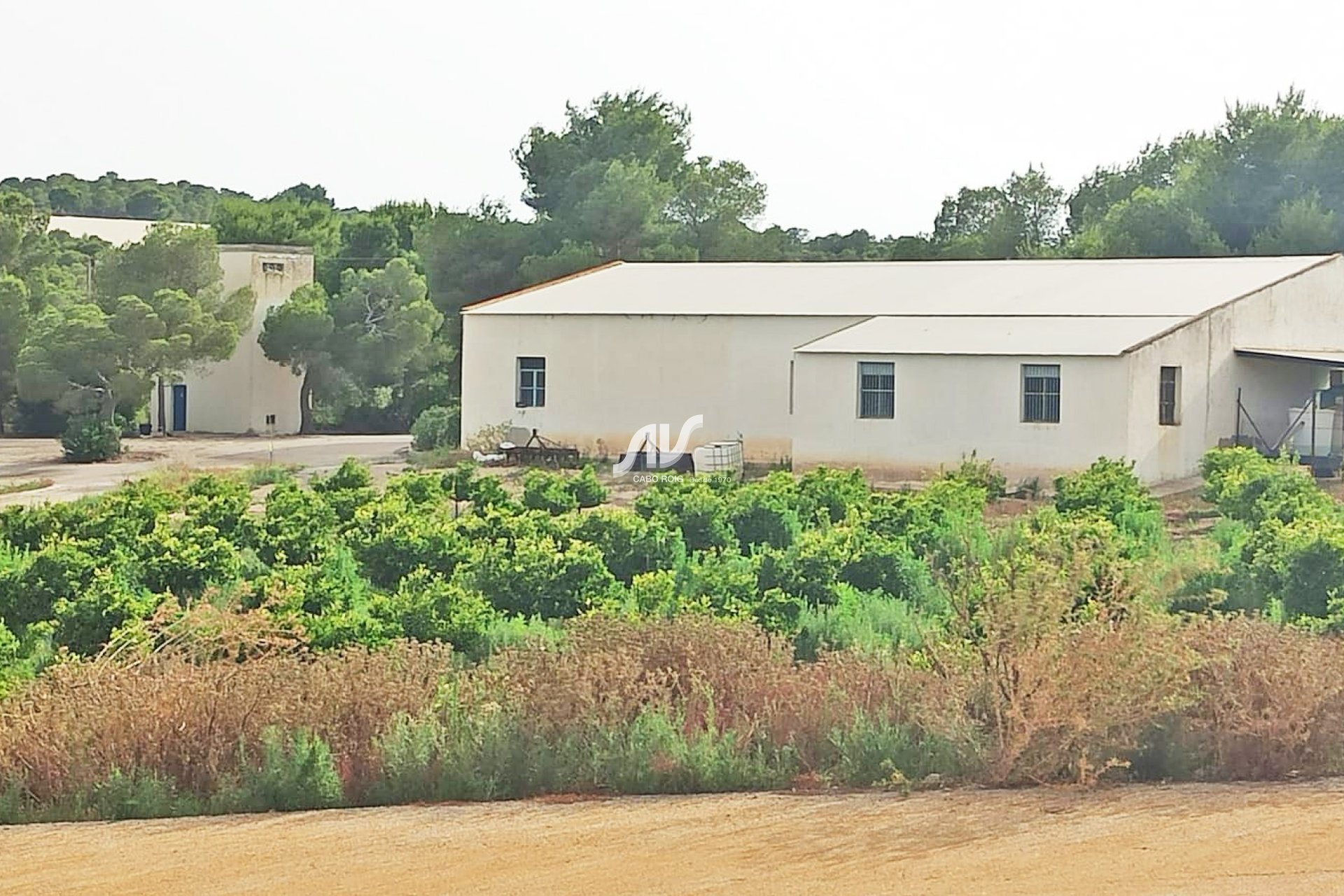 Odsprzedaż - Finca - San Miguel de Salinas - Las Colinas Golf