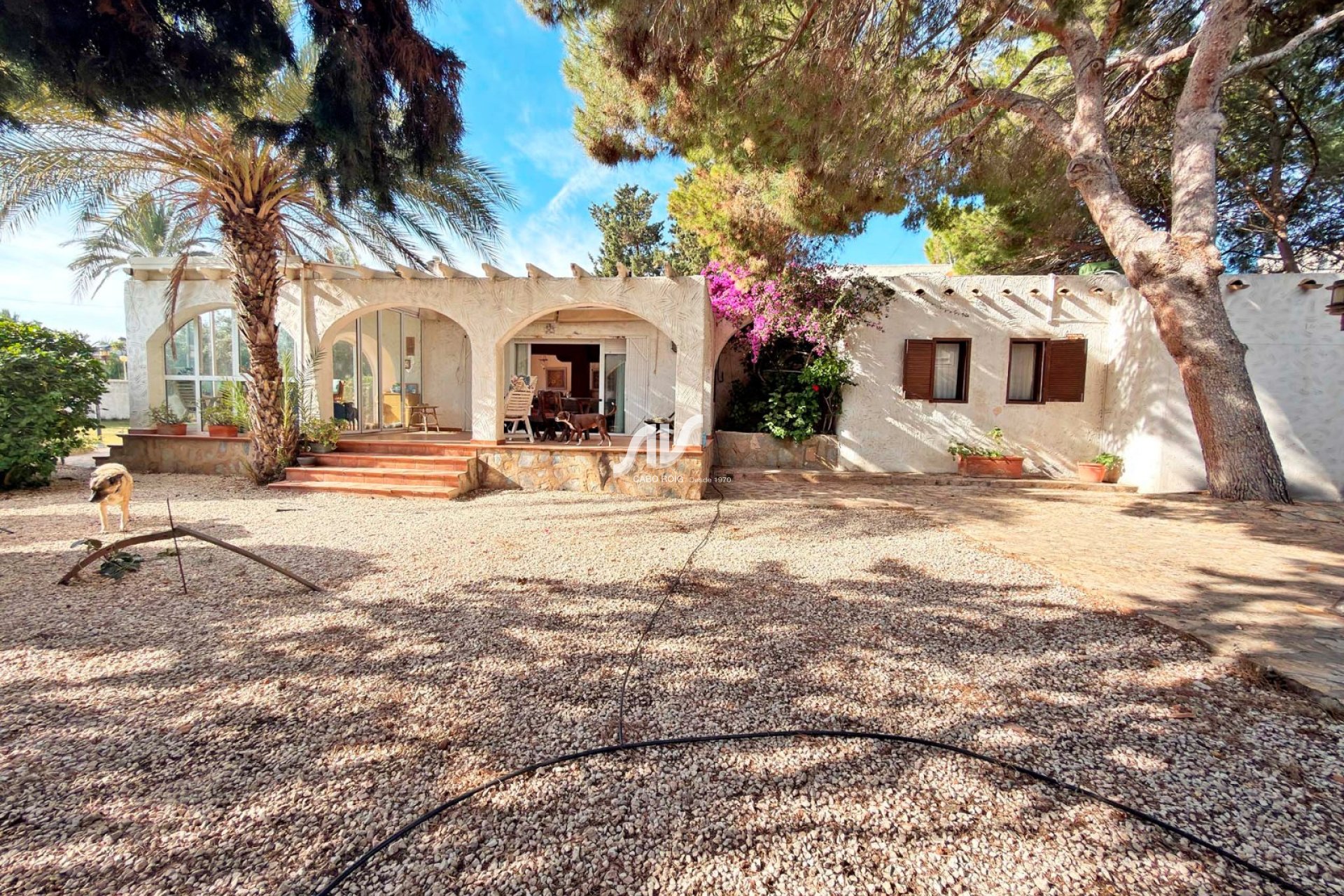 Odsprzedaż - Villa - Orihuela Costa - Cabo Roig