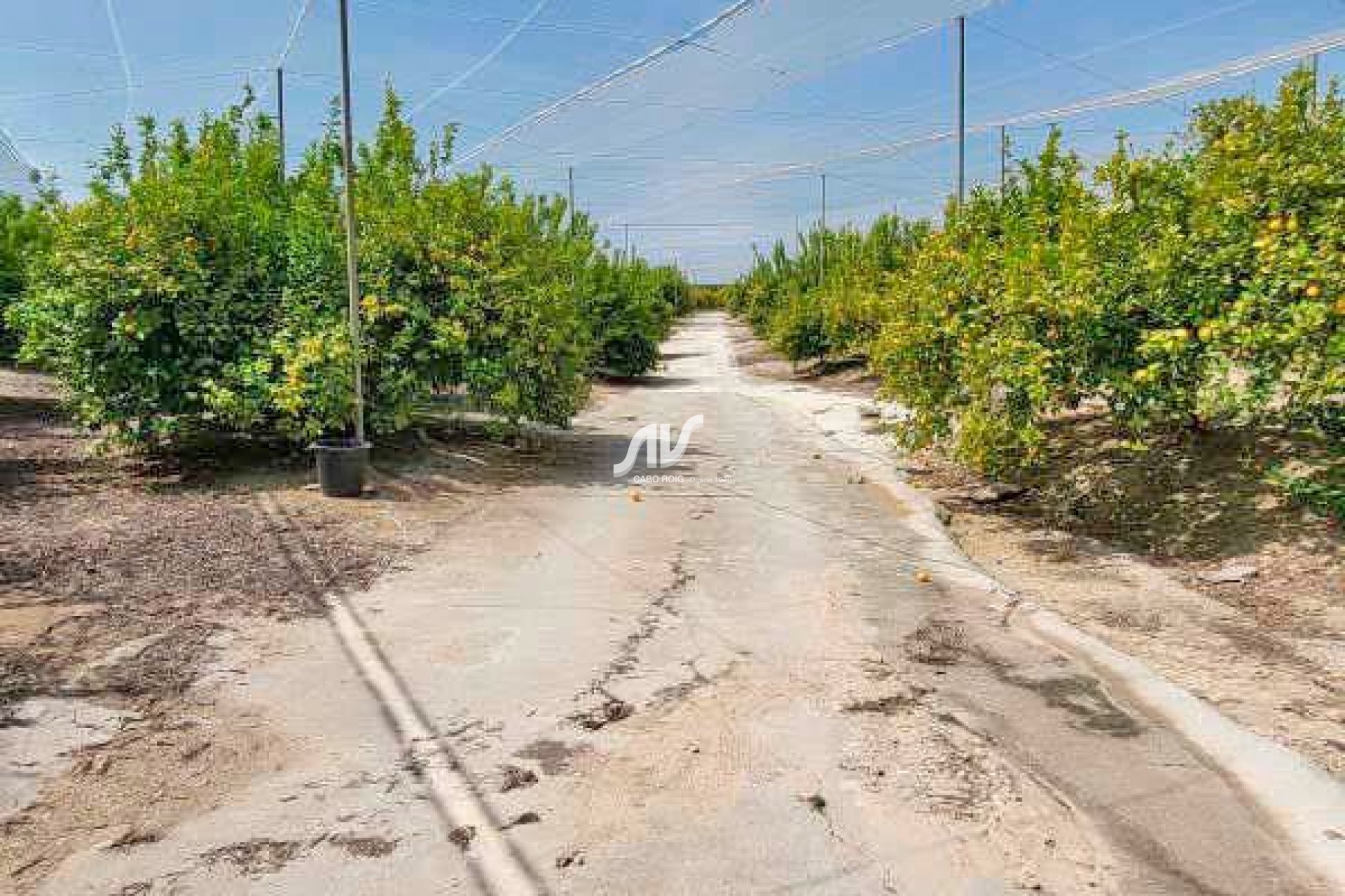 Resale - Finca - San Miguel de Salinas - Las Colinas Golf