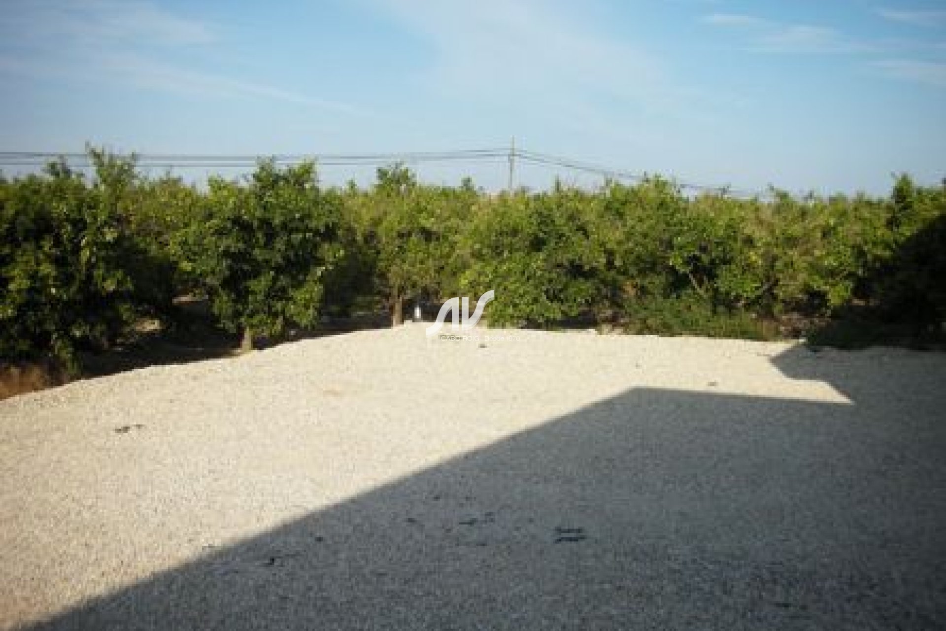 Resale - Villa - Vega Baja - inland - Daya Nueva