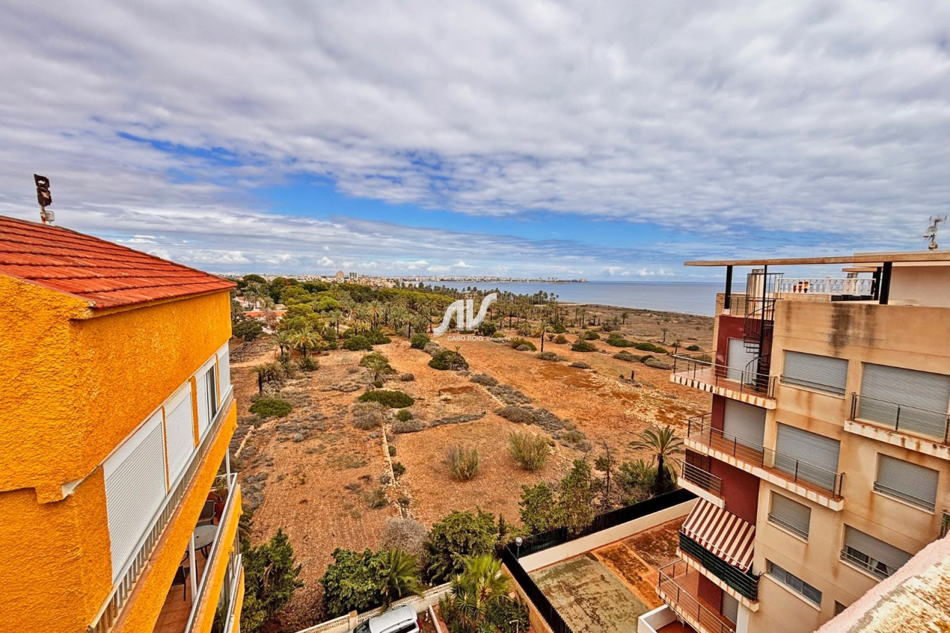 Reventa - Apartamento - Orihuela Costa - Punta Prima