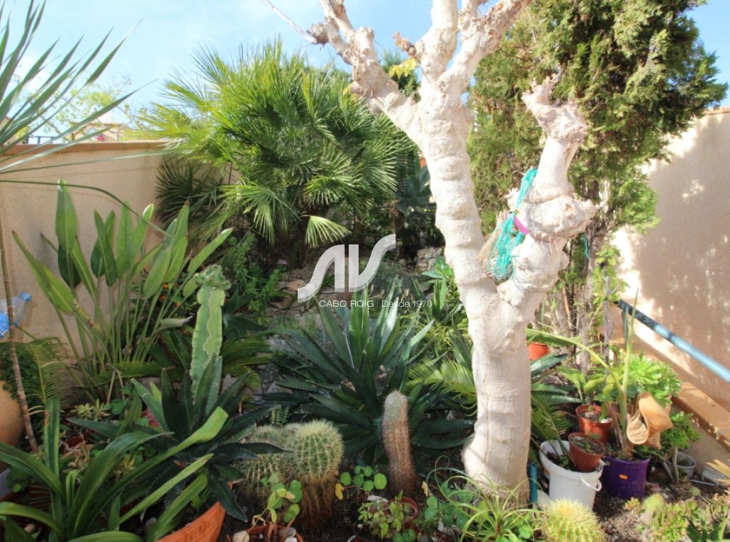 Reventa - Chalet adosado - Orihuela Costa - Aguamarina