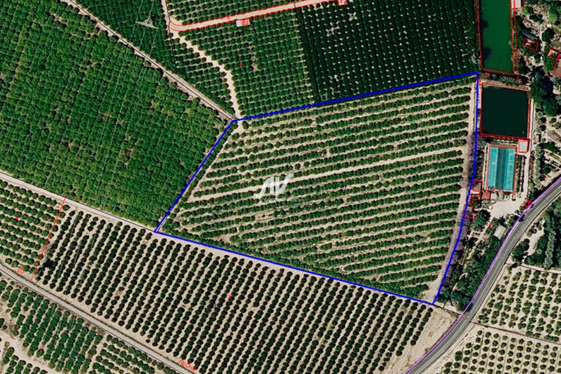 Reventa - Finca - Los Montesinos