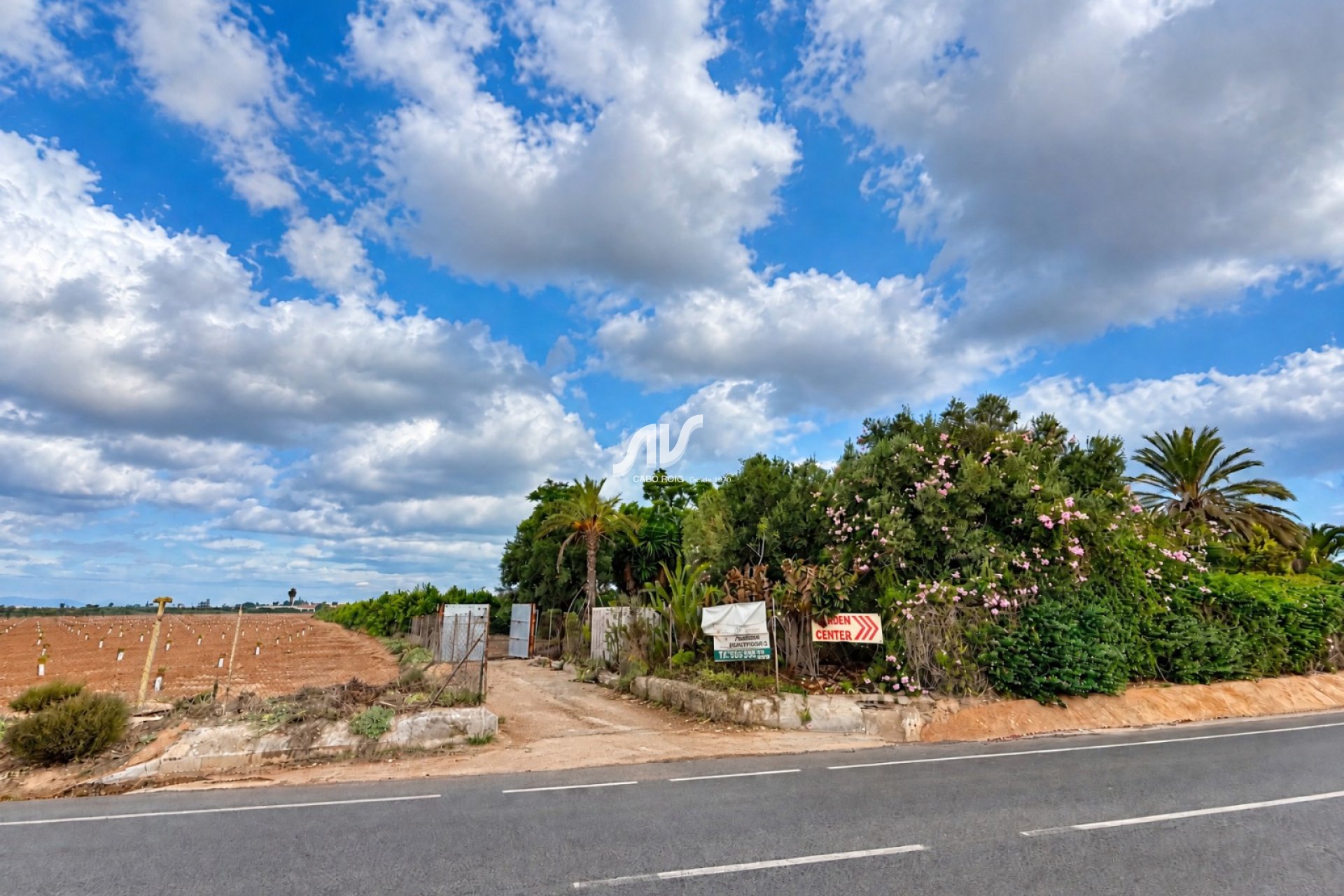 Reventa - Finca - Los Montesinos