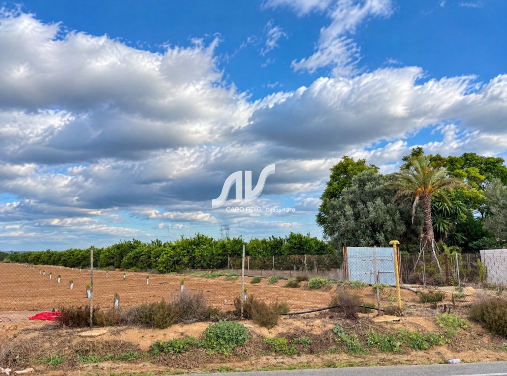 Reventa - Finca - Los Montesinos