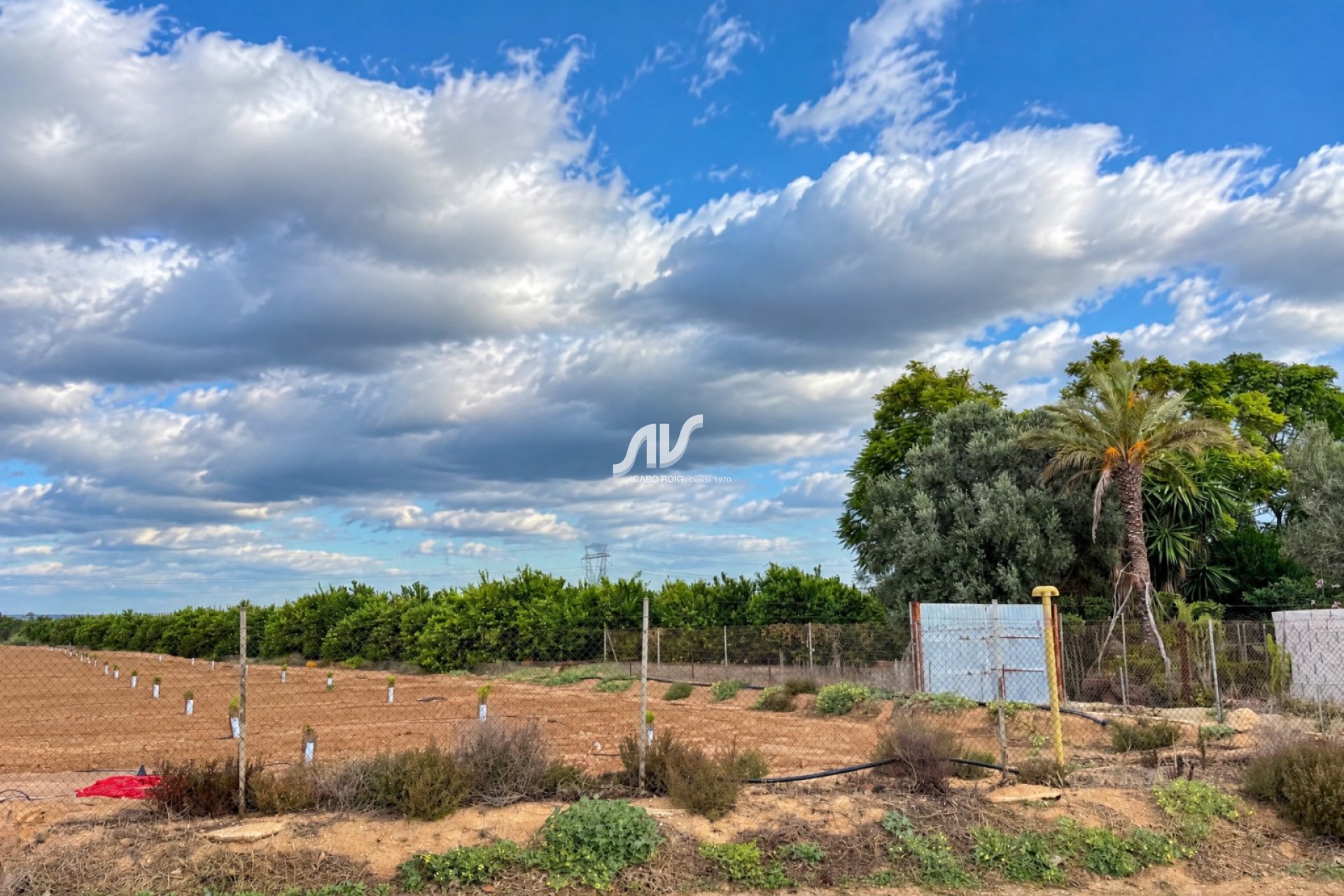 Reventa - Finca - Los Montesinos