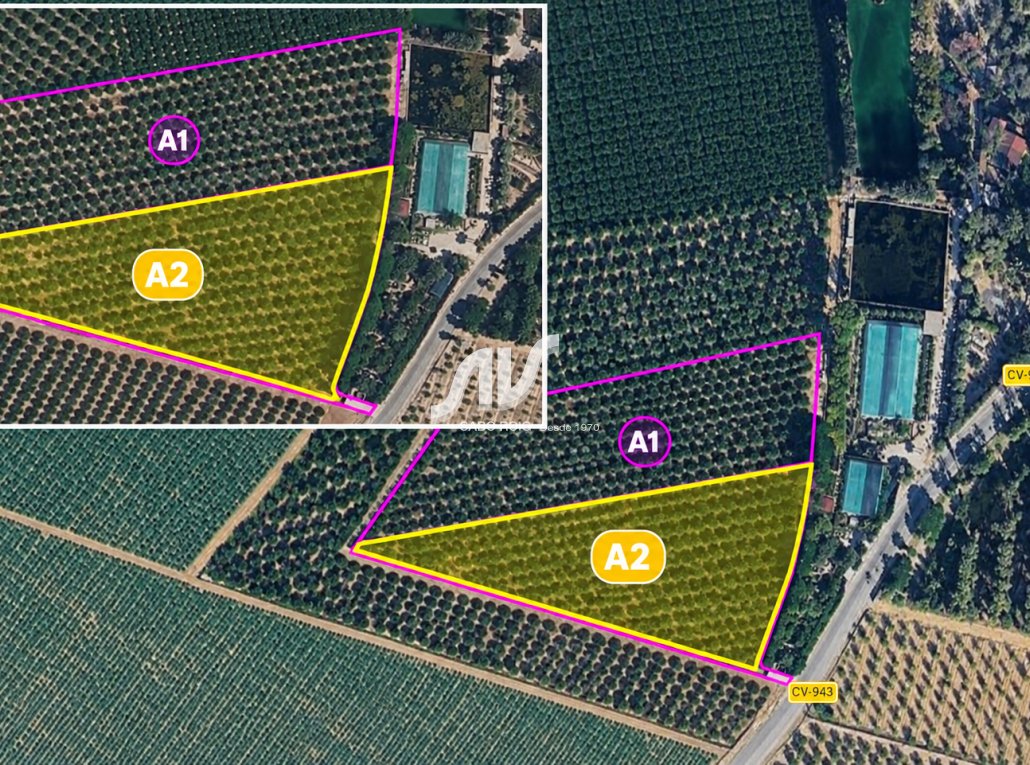 Reventa - Finca - Los Montesinos