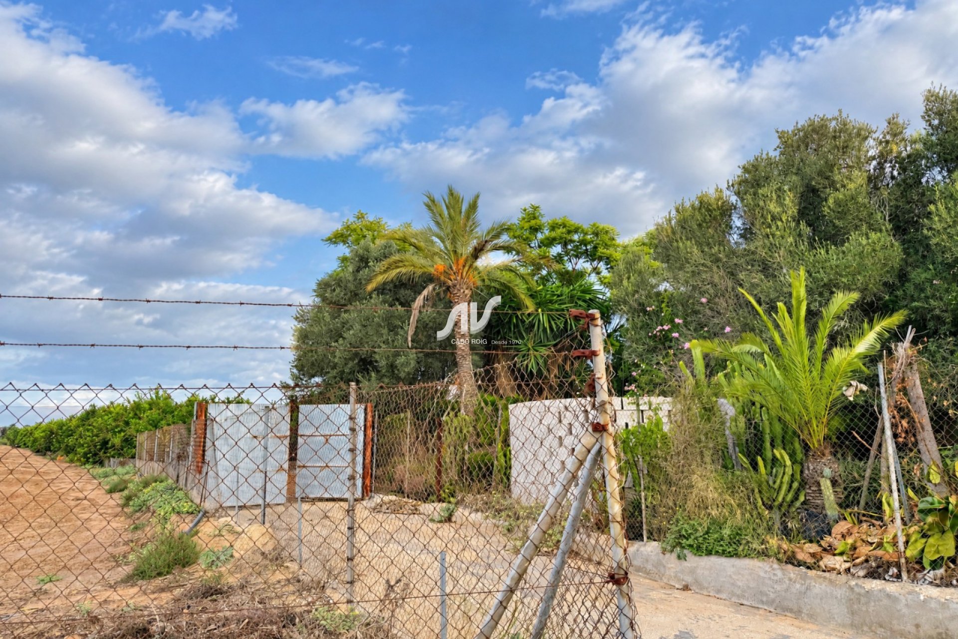 Reventa - Finca - Los Montesinos