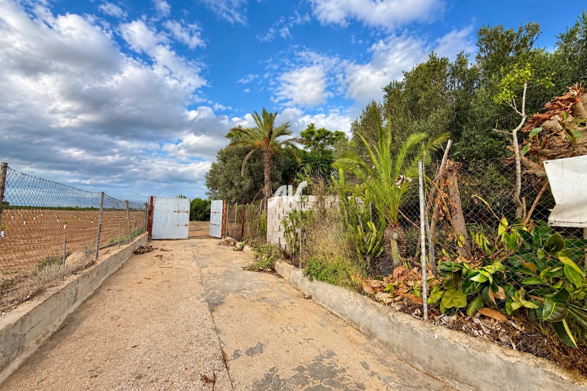 Reventa - Finca - Los Montesinos