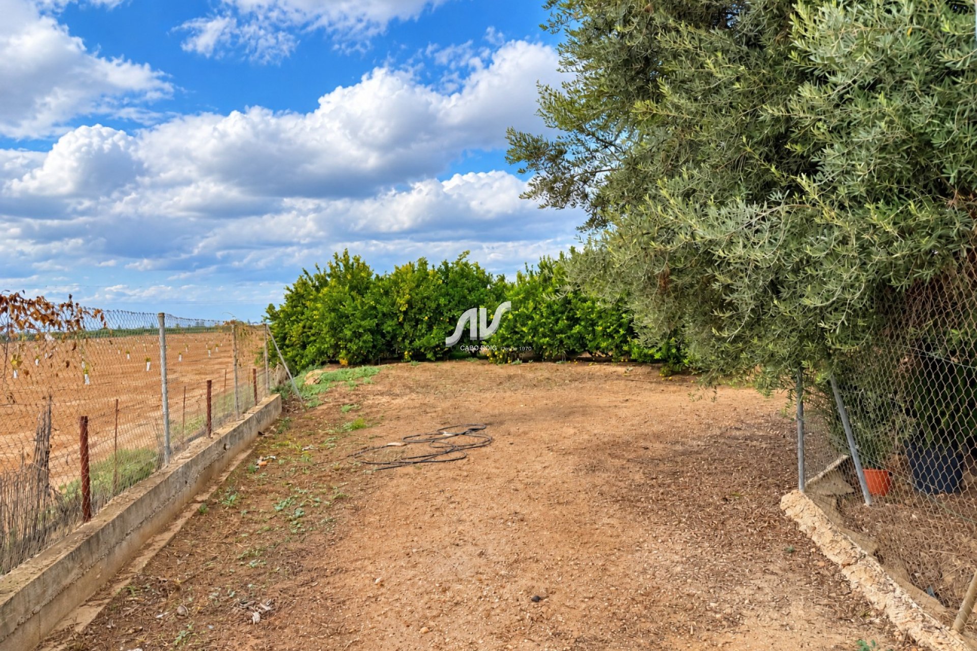 Reventa - Finca - Los Montesinos