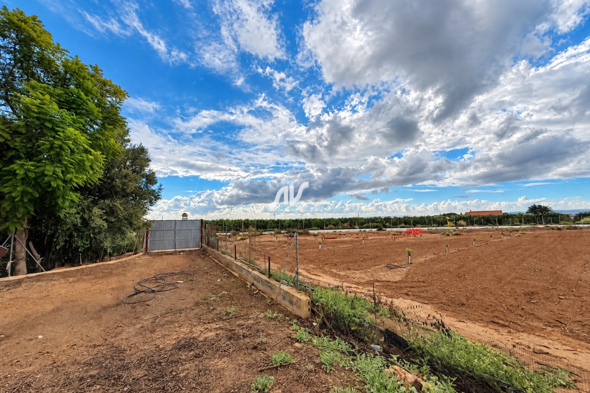 Reventa - Finca - Los Montesinos