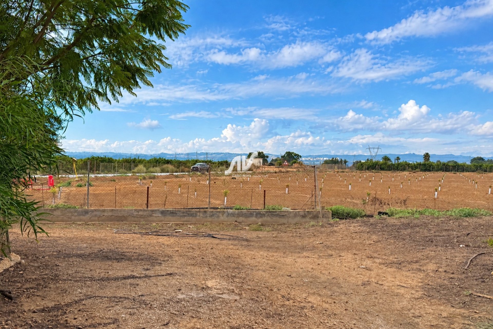Reventa - Finca - Los Montesinos