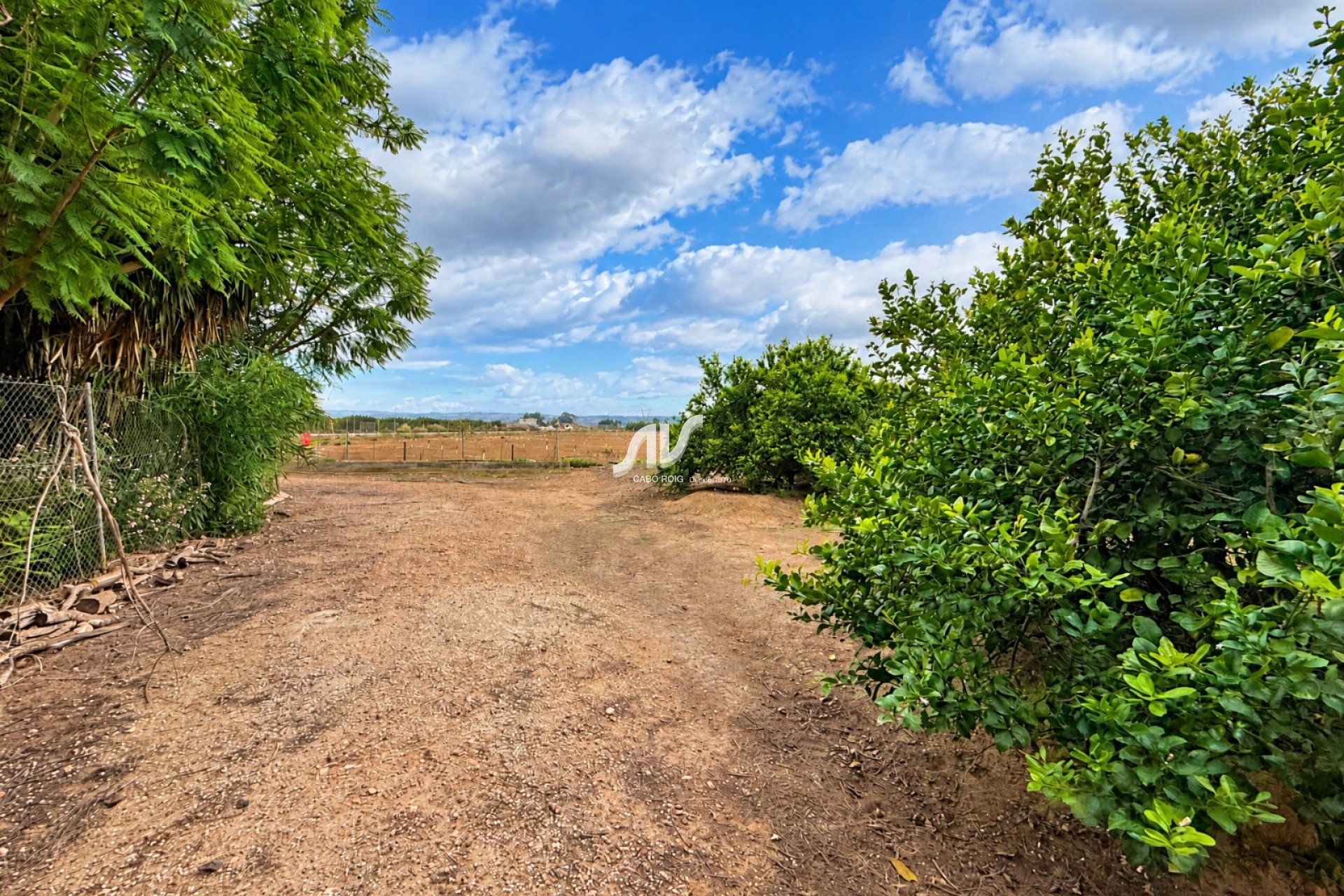 Reventa - Finca - Los Montesinos