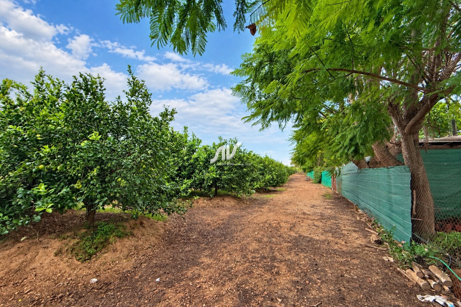 Reventa - Finca - Los Montesinos
