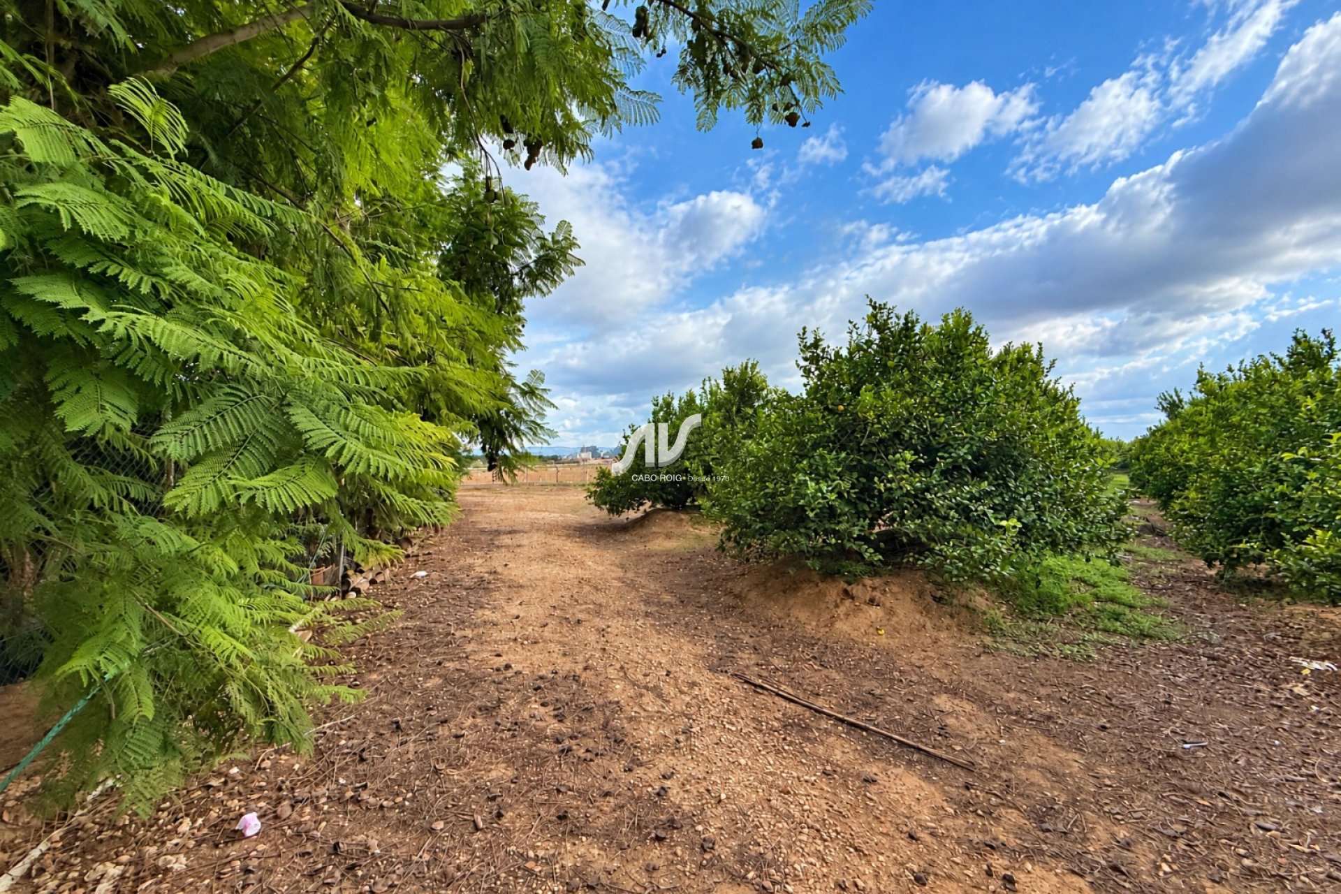 Reventa - Finca - Los Montesinos