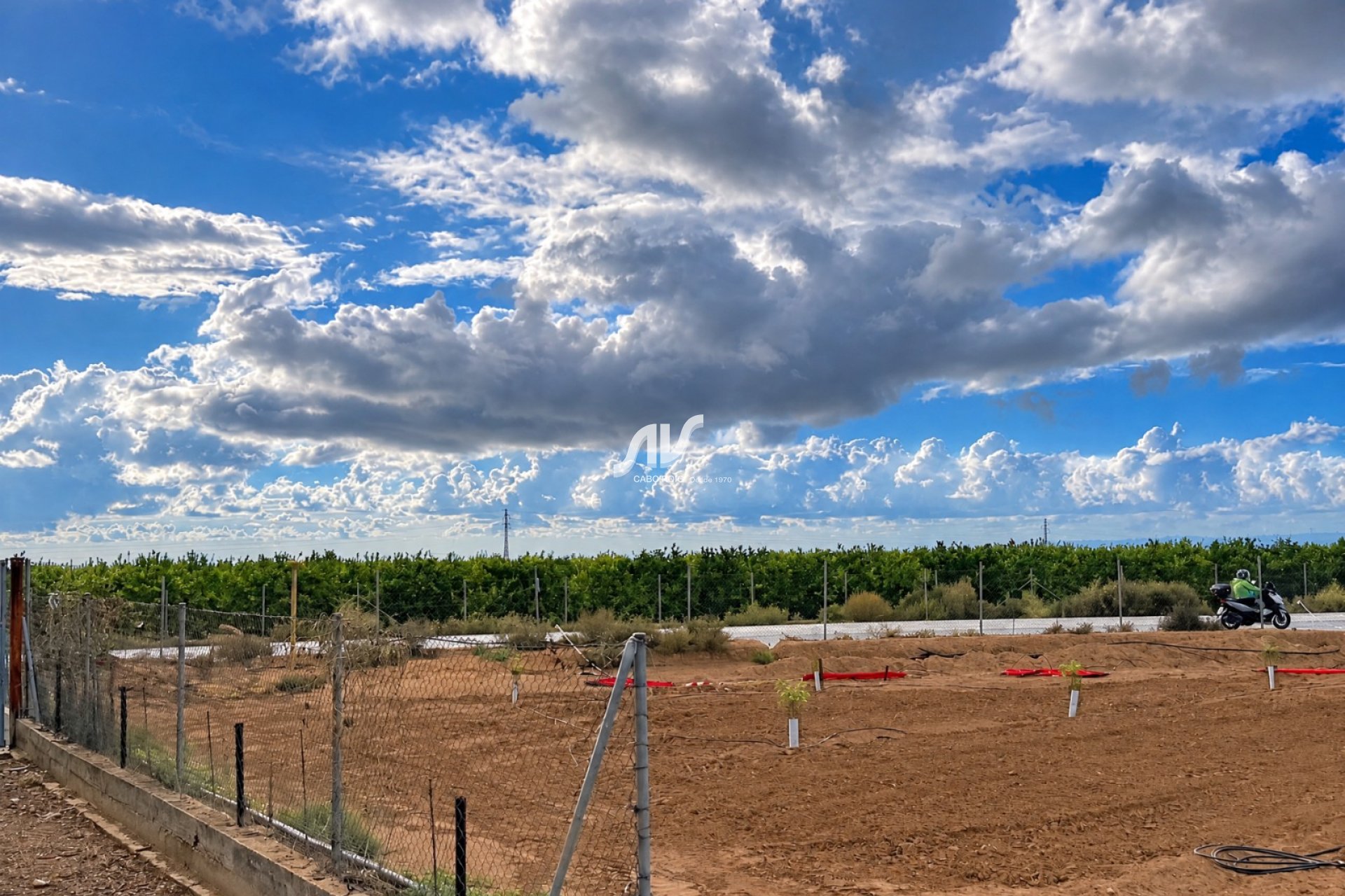 Reventa - Finca - Los Montesinos